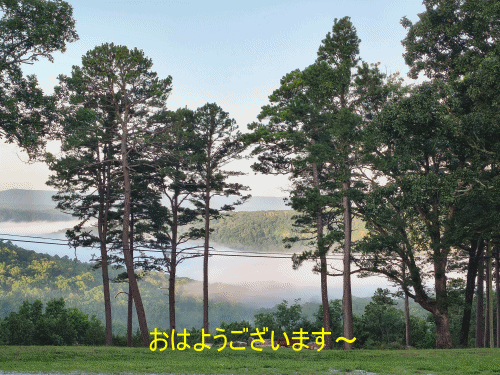 久しぶりのおひとり様