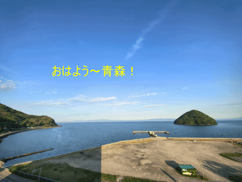 三内丸山遺跡とウニいくら丼